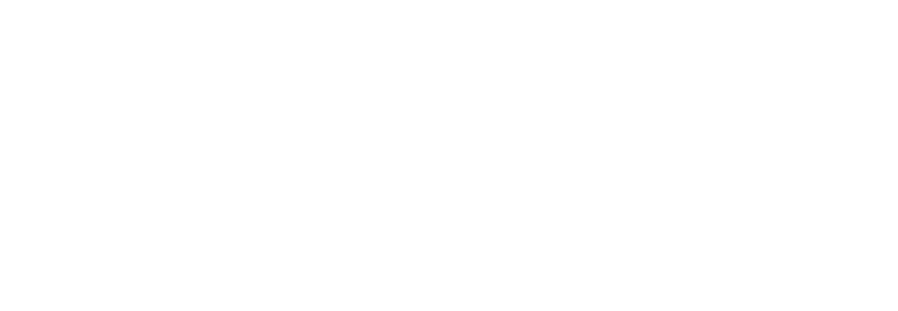 Anna Lyn Cook Studio