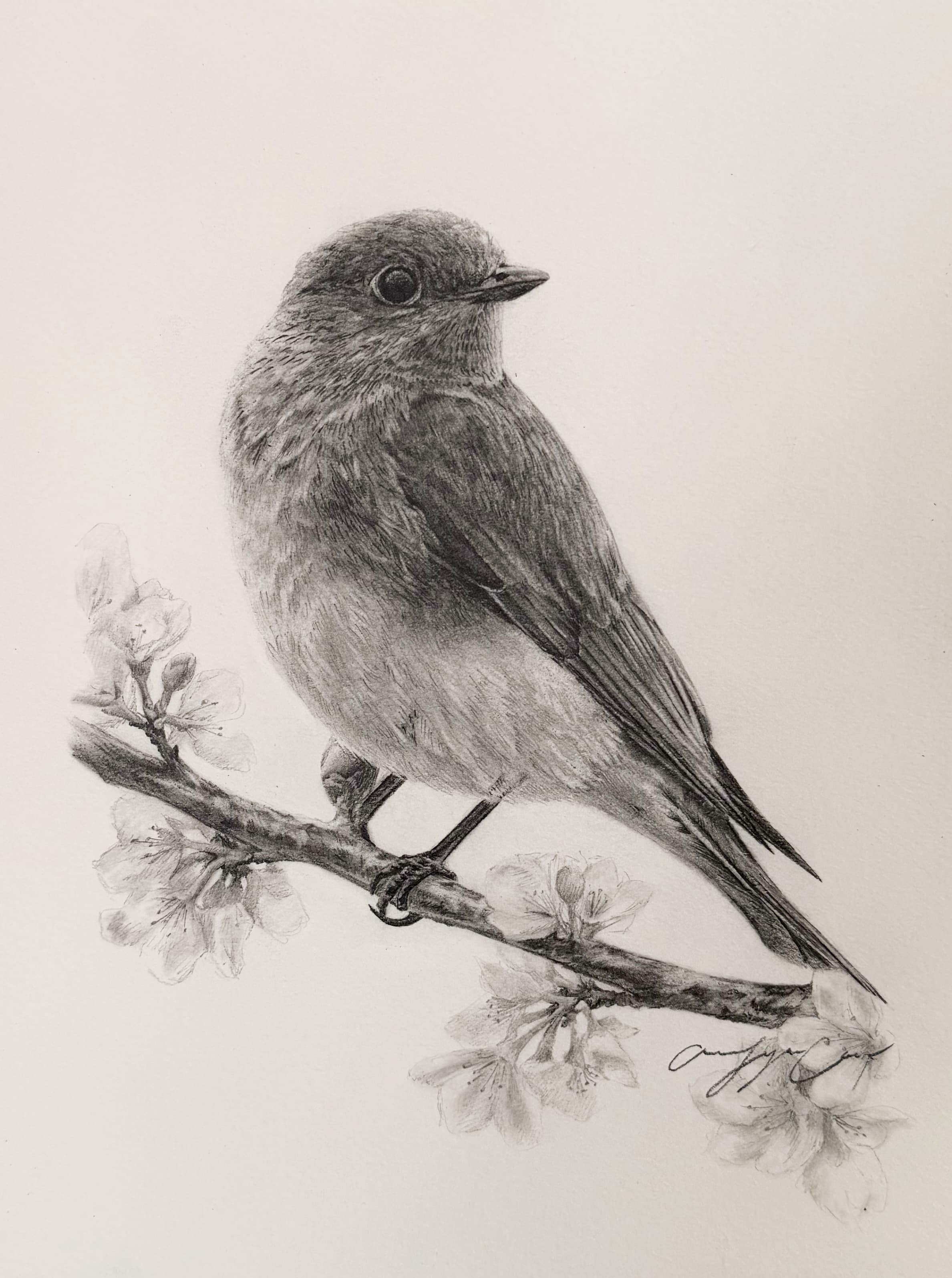 Example artwork included in The Studio Letter